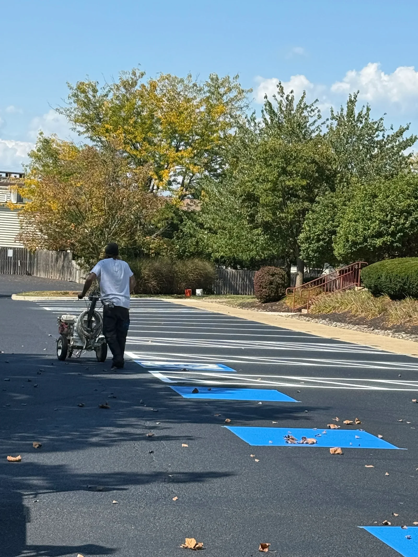 Fresh parking lot striping and line markings on commercial property