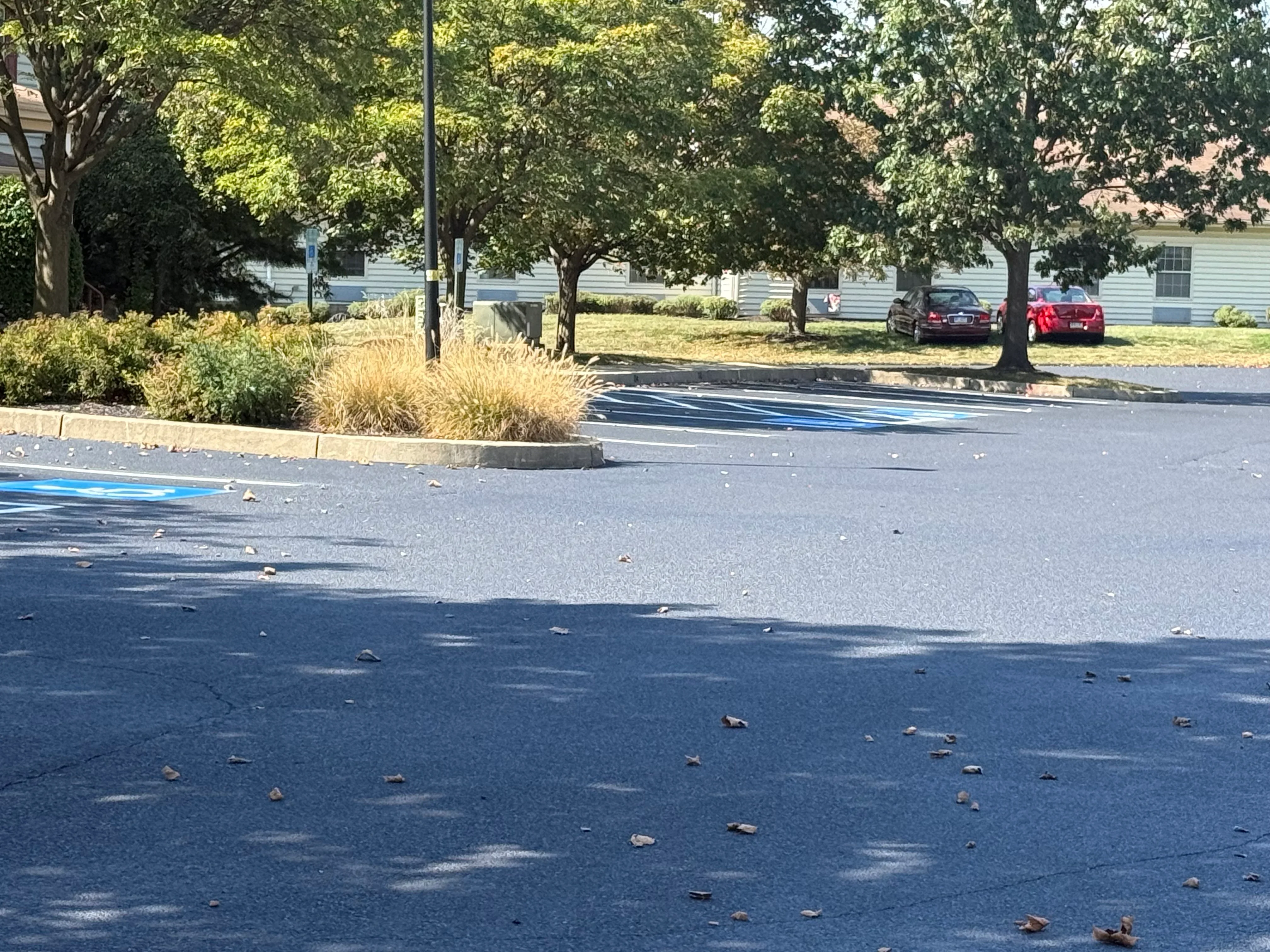 Newly sealed asphalt parking lot with blue parking space stripes and landscape edging