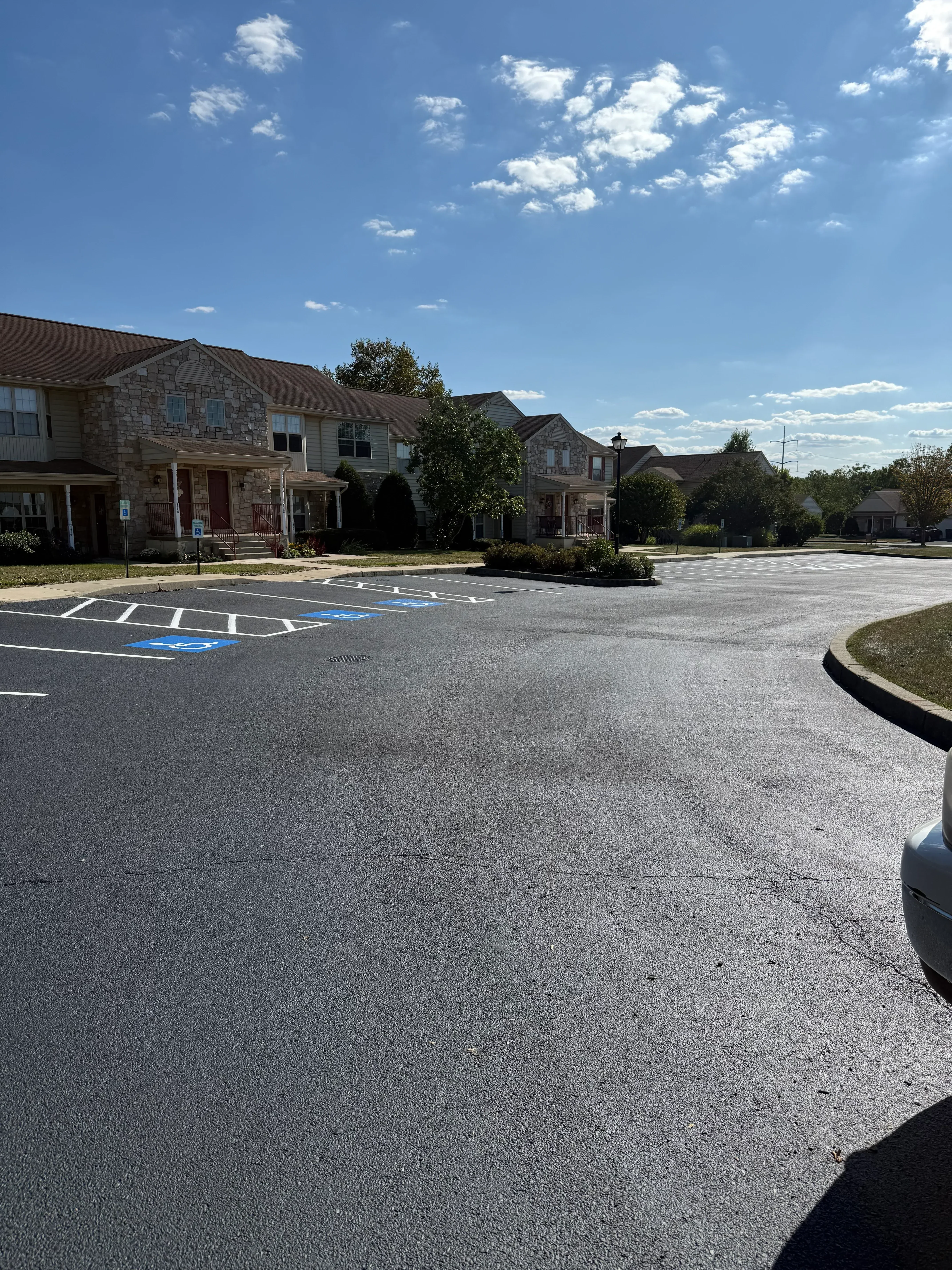 Newly paved residential driveway with smooth dark asphalt and white edge markings